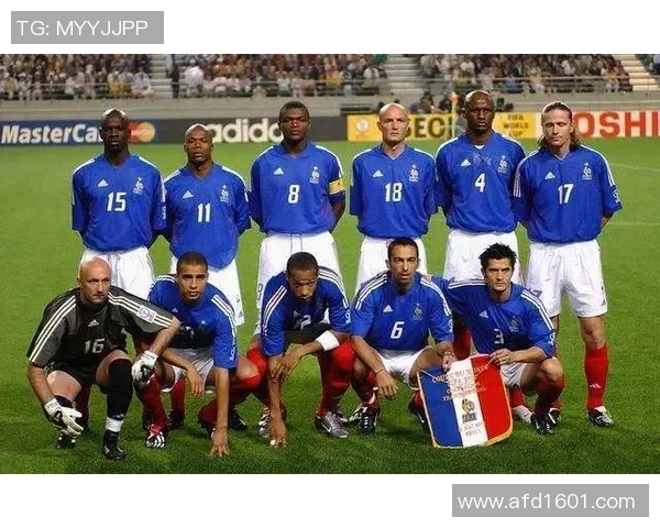 2006年世界杯经典对决回顾法国与巴西的阵容分析与战术解析